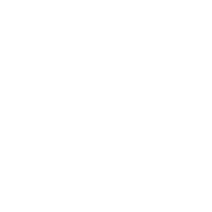 instagram-icono