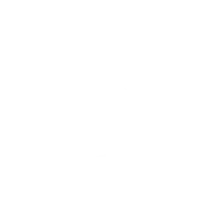 tiktok-icono